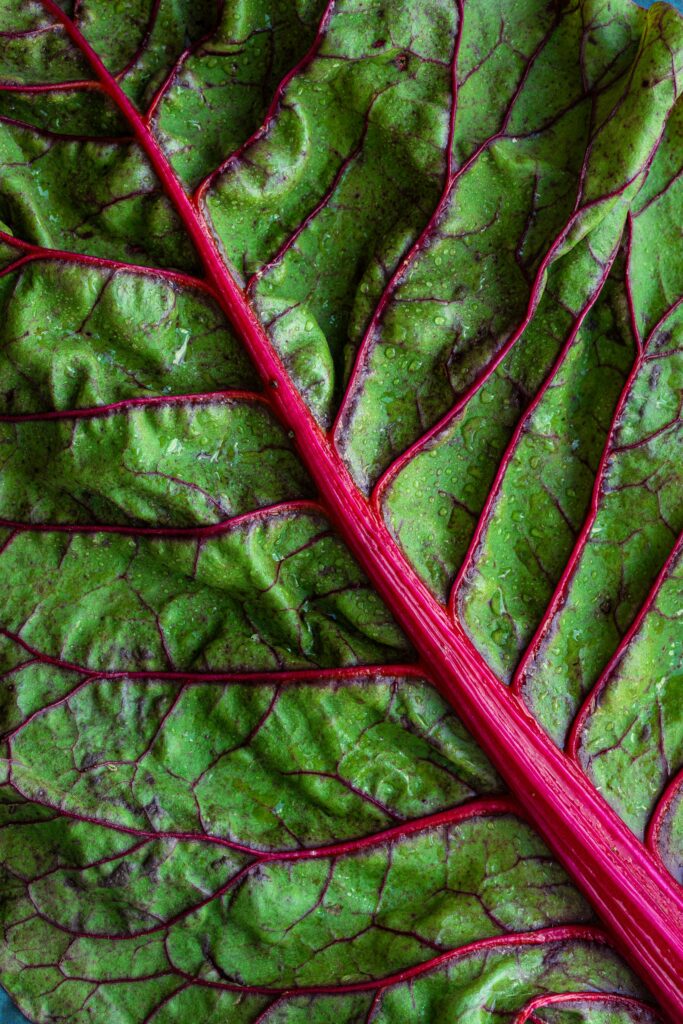 Longevity Kitchen leafy greens iron ferritin nutrition for bloodwork optimization